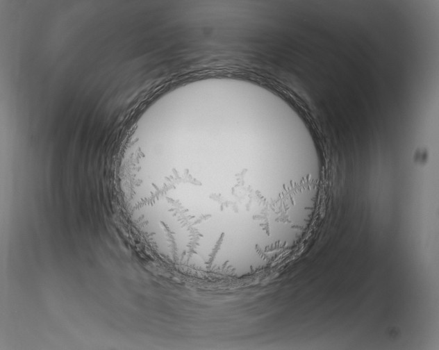 X0000115070029200912081158