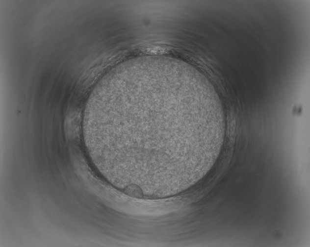 X0000115070030200912081158