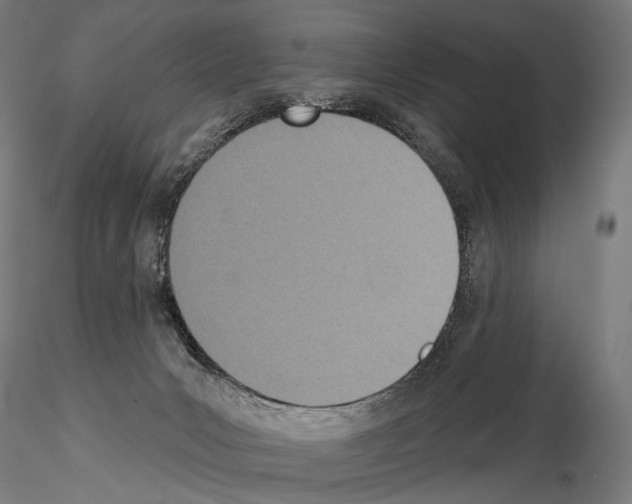 X0000115070031200912081158