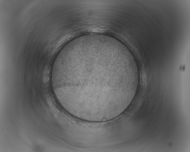 X0000115070032200912081158