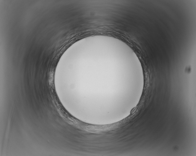 X0000115070033200912081158