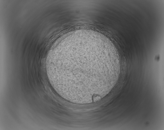 X0000115070034200912081158