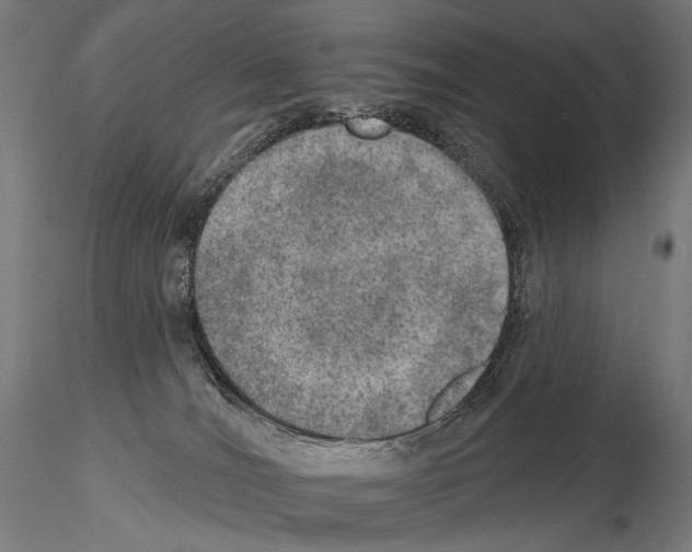 X0000115070036200912081158