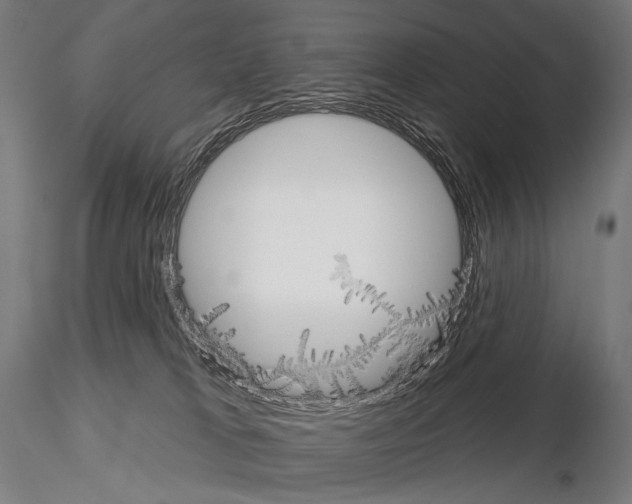 X0000115070037200912081158