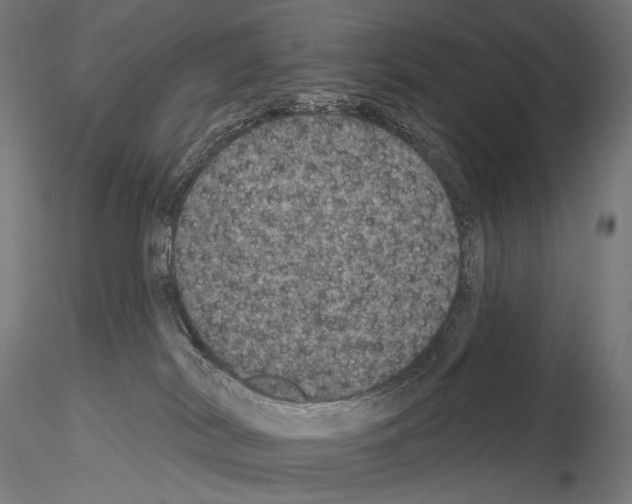 X0000115070038200912081158