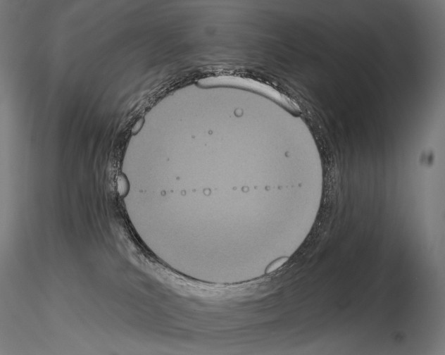 X0000115070039200912081158