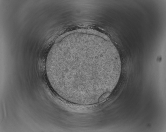 X0000115070040200912081158