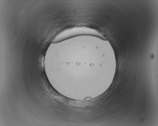 X0000115070041200912081158