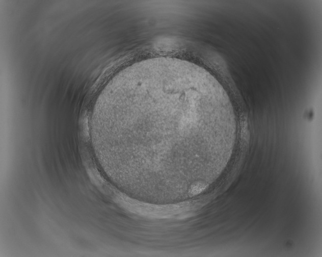 X0000115070042200912081158