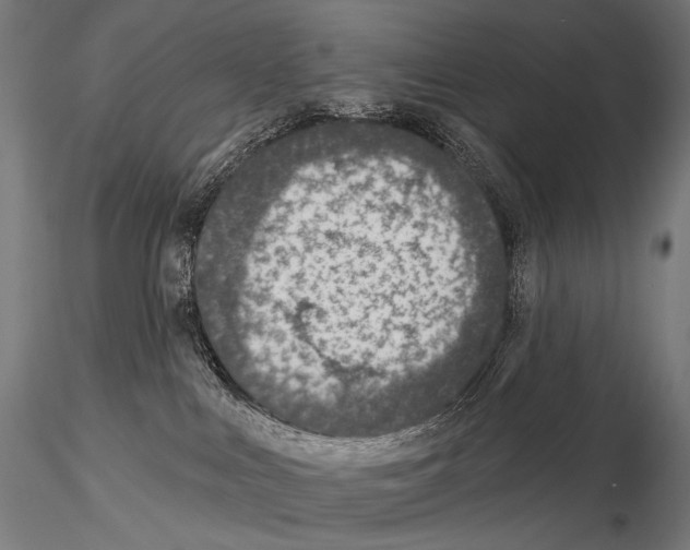 X0000115070043200912081158