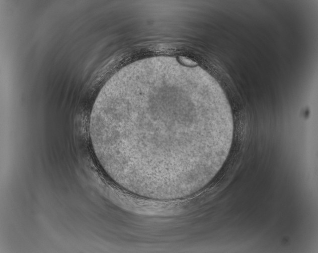 X0000115070044200912081158