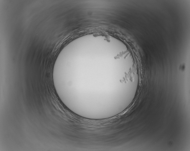 X0000115070045200912081158