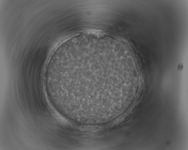 X0000115070049200912081157