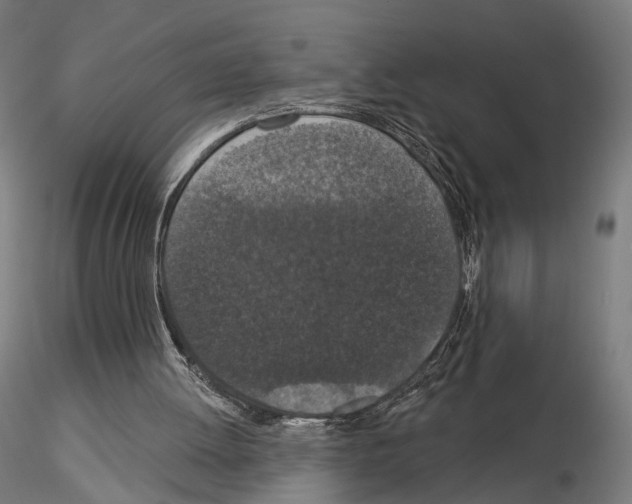 X0000115070052200912081157