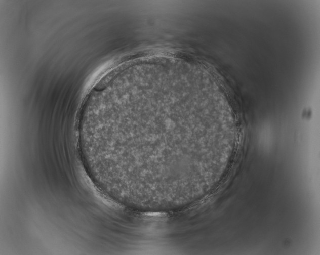 X0000115070053200912081157