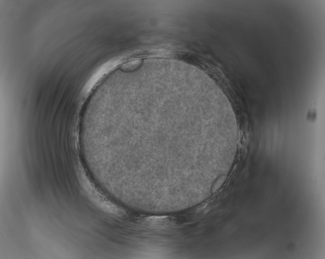 X0000115070054200912081157