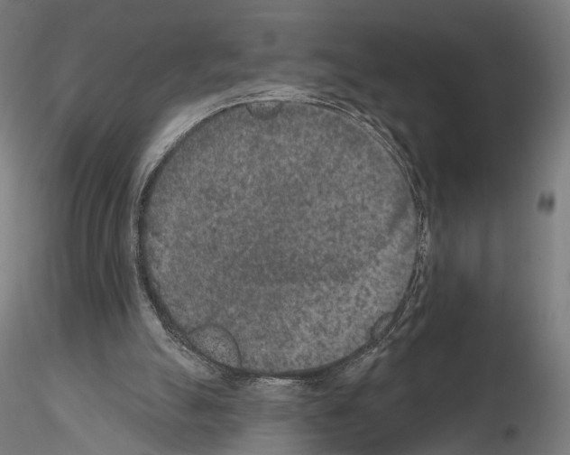 X0000115070055200912081157