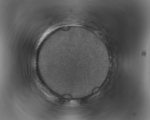 X0000115070056200912081157