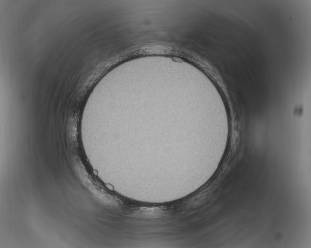 X0000115070057200912081157