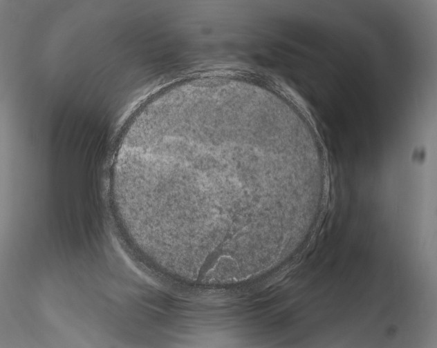 X0000115070059200912081157