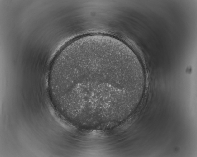 X0000115070060200912081157