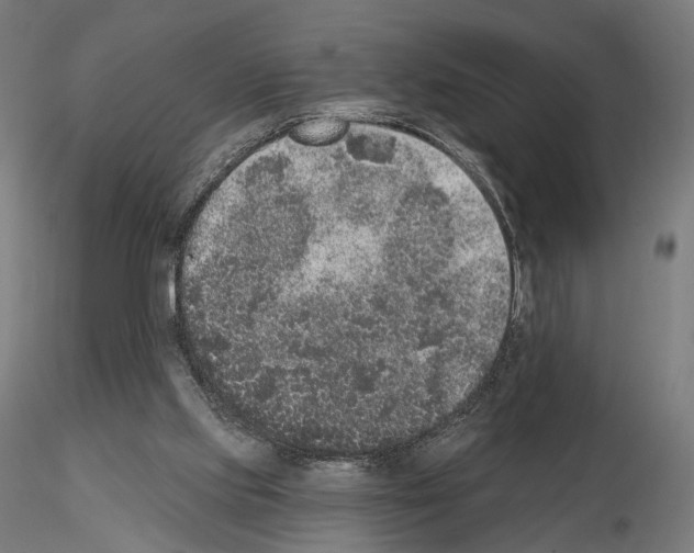 X0000115070061200912081157