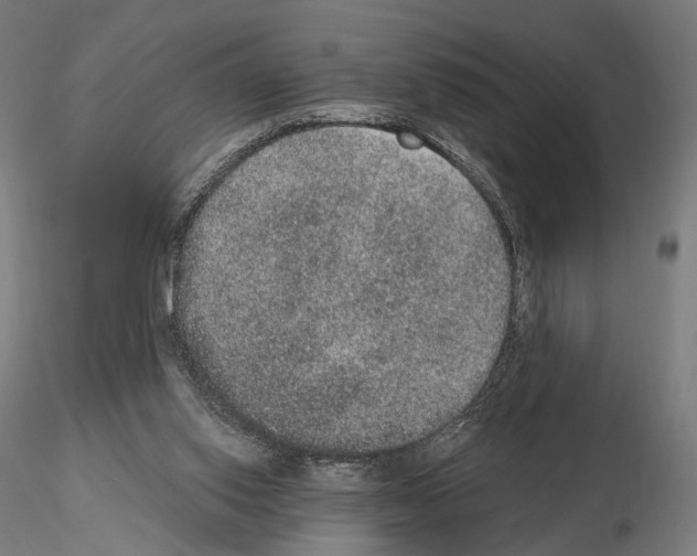 X0000115070062200912081157