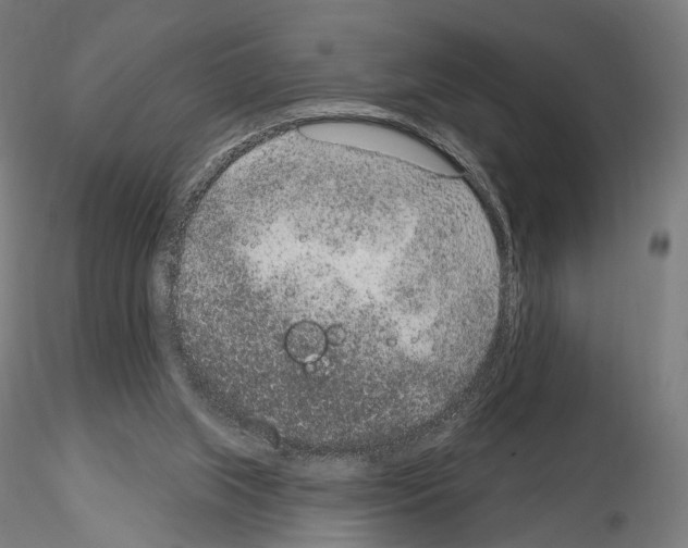 X0000115070063200912081157