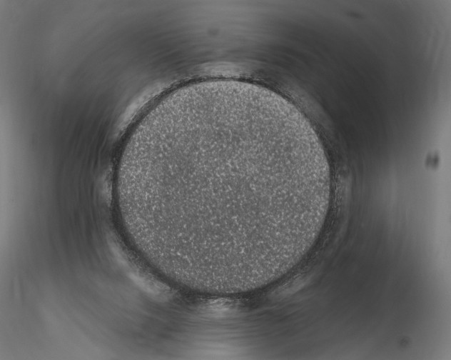 X0000115070064200912081157