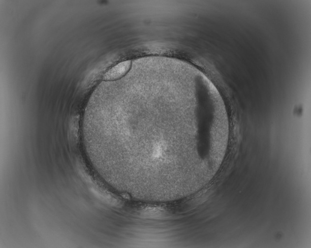 X0000115070066200912081157