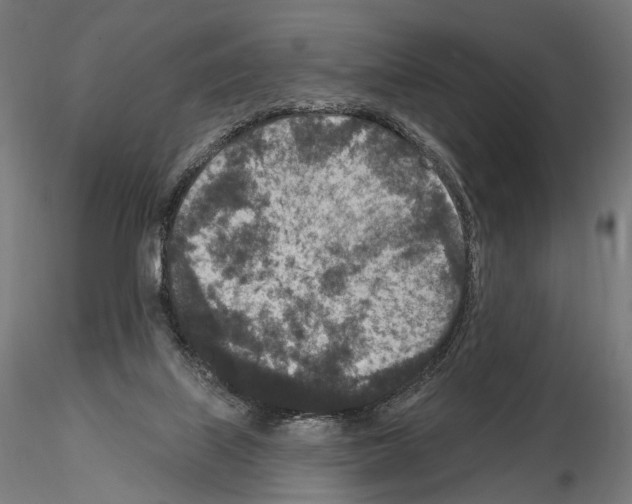 X0000115070067200912081157