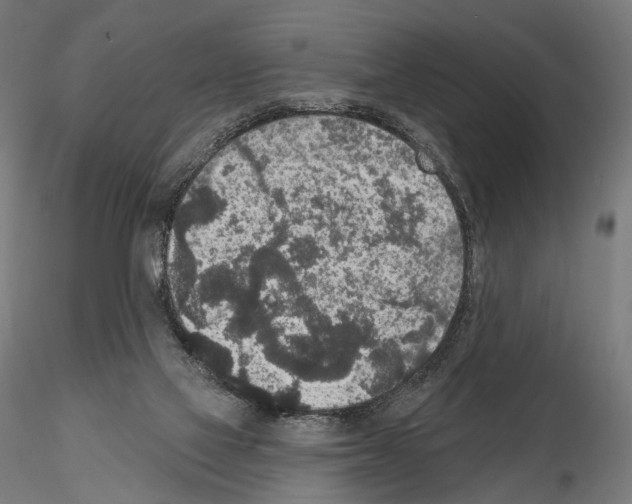 X0000115070069200912081157