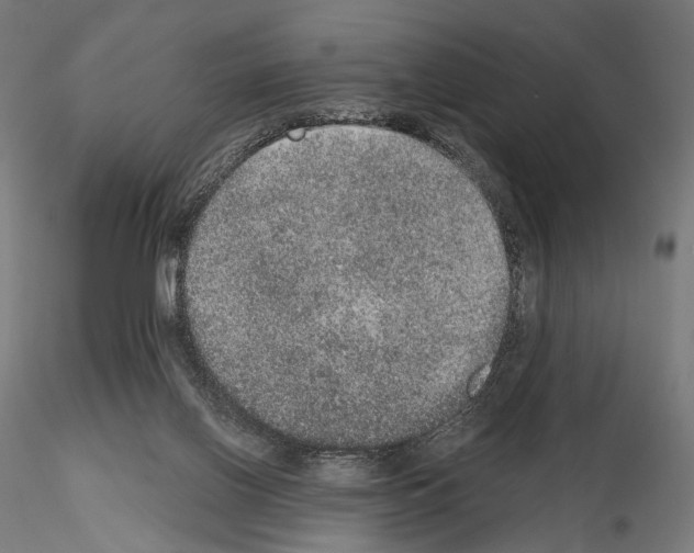 X0000115070070200912081157