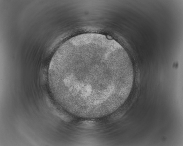 X0000115070071200912081157