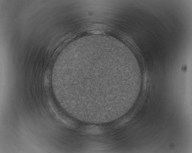 X0000115070073200912081157