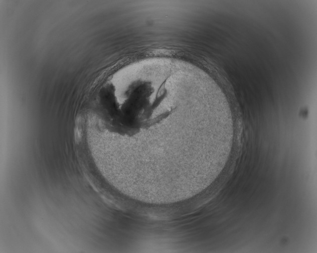 X0000115070075200912081157