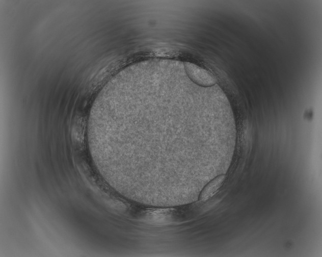 X0000115070078200912081157