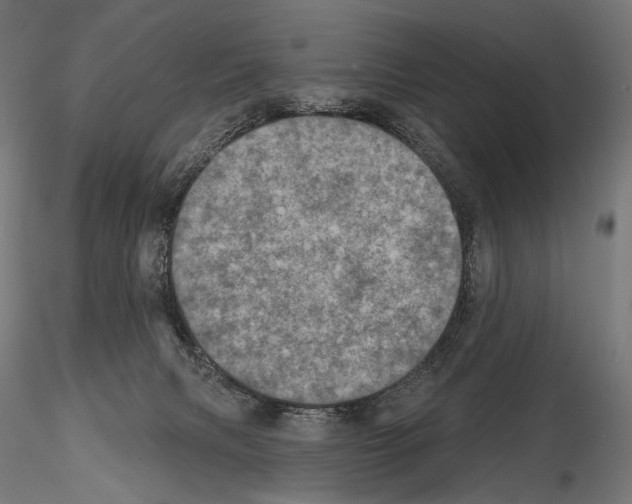 X0000115070079200912081157