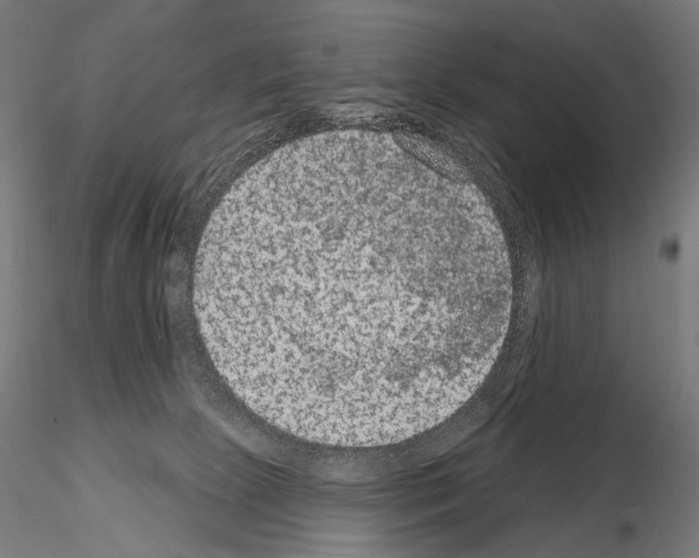 X0000115070081200912081157