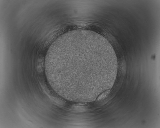 X0000115070082200912081157