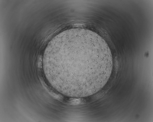 X0000115070083200912081157