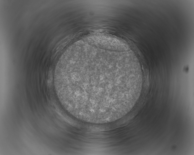 X0000115070085200912081157