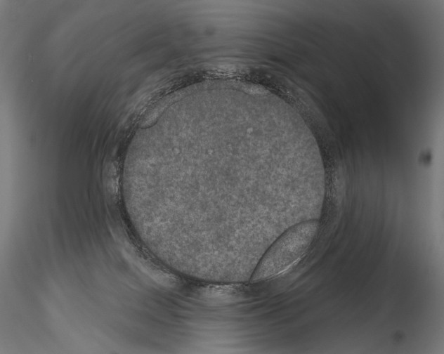 X0000115070086200912081157