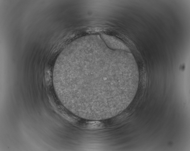 X0000115070087200912081157