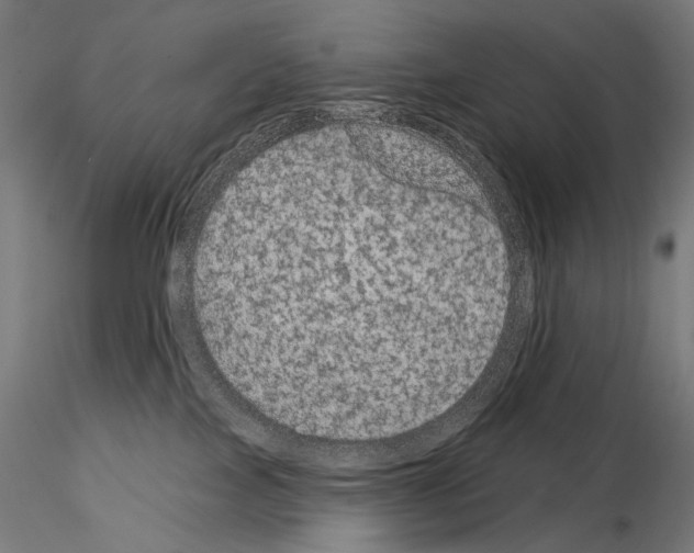 X0000115070089200912081157