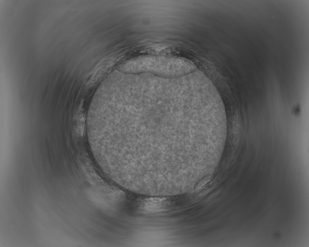 X0000115070090200912081157