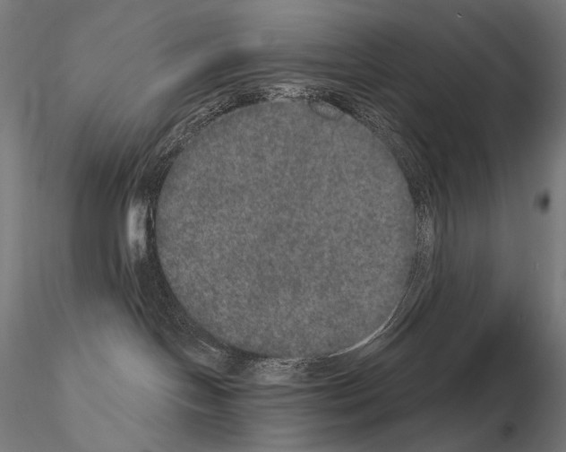 X0000115070094200912081158