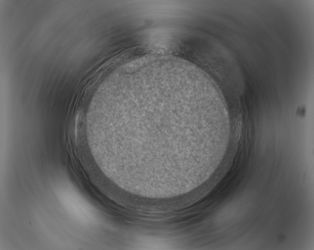 X0000115070095200912081158