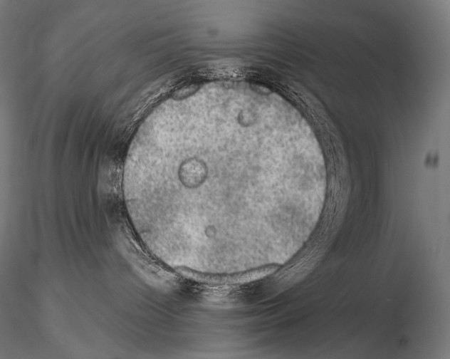 X0000115070096200912081158