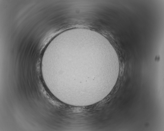 X0000115070098200912081157